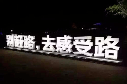 无国界网络:好文案,永远在路上