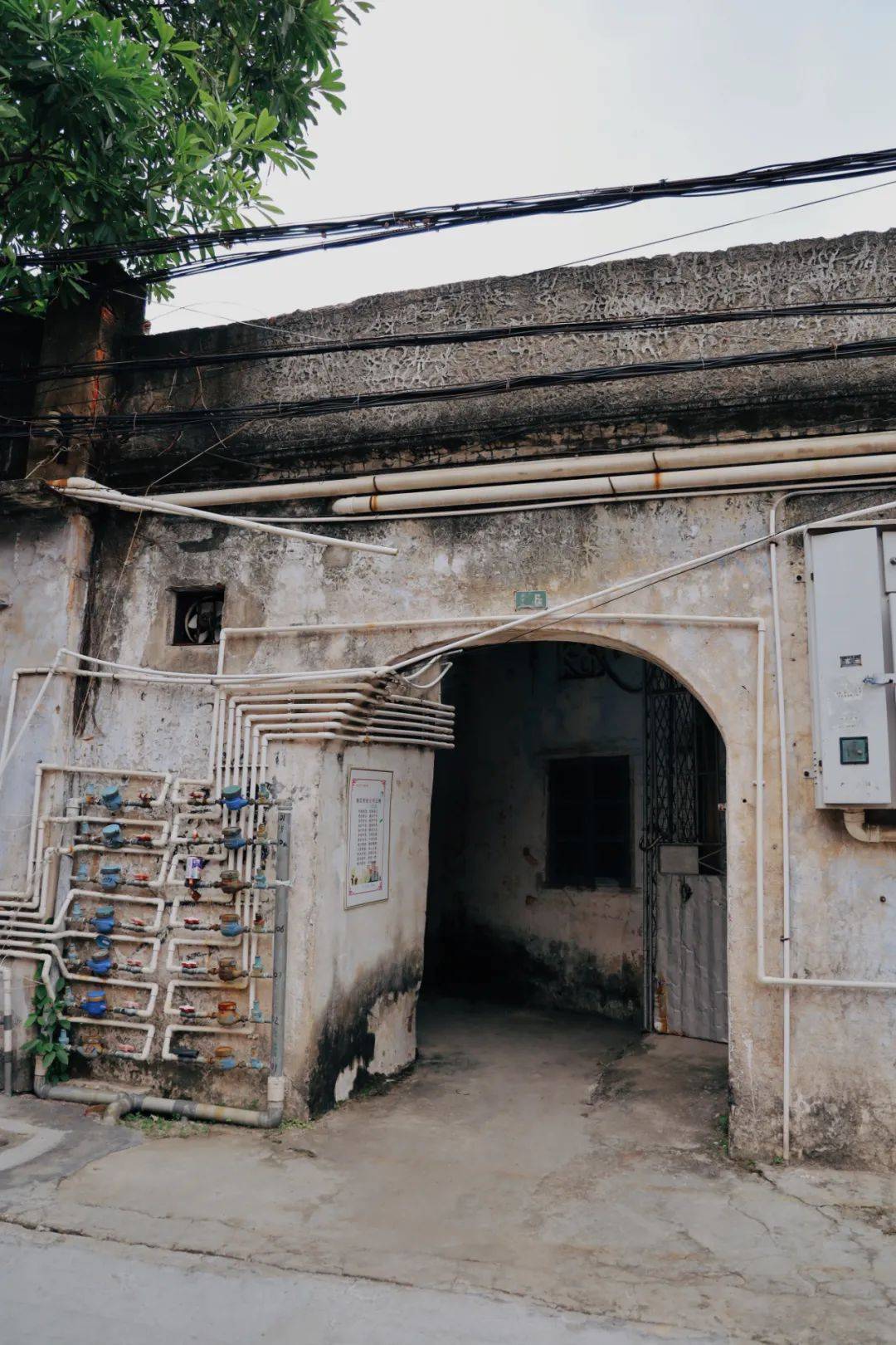 带你去看湛江更多隐秘的角落