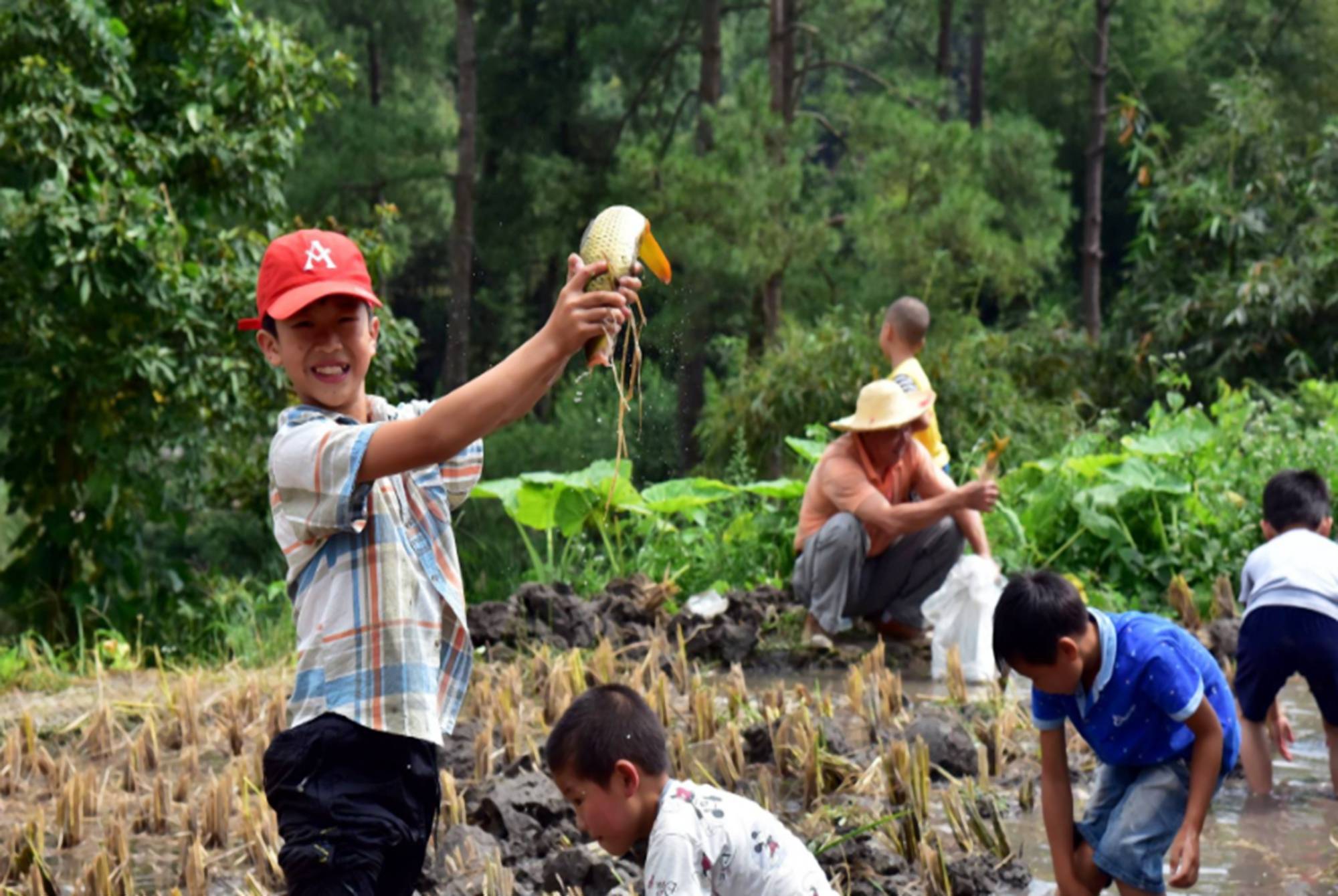 原创孩子回乡下看奶奶宝妈看见婆婆朋友圈不淡定捞鱼的是我儿子