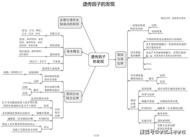 14:46 史上最全的高中生物思維導圖來了~~無論是你是高一,高二,還是