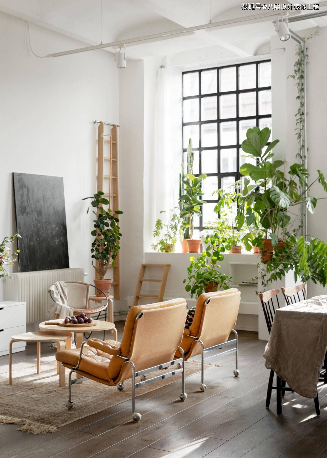 原创如何让居家环境秒变清新惬意不仅净化空气还能让心灵得到治愈