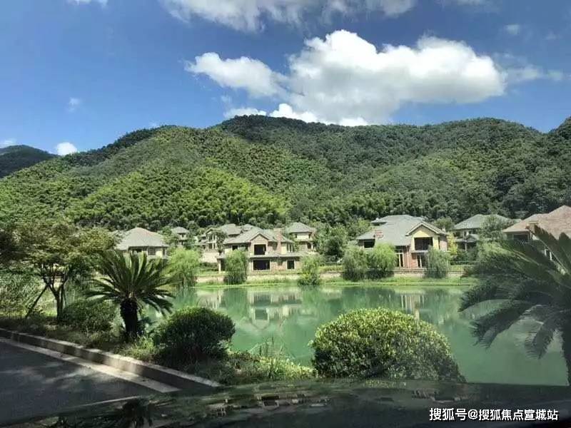 地產開發有限公司,杭州泰固簾線有限公司,杭州大巖山景區開發有限公司