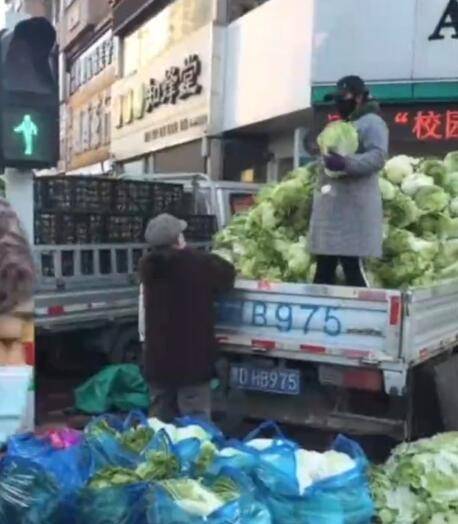 东北大娘雇车囤300斤白菜  网友：“这食量惊人”
