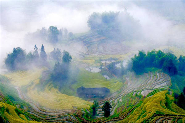 新化|以艺扶贫 | 全国艺术名家齐聚新化写生