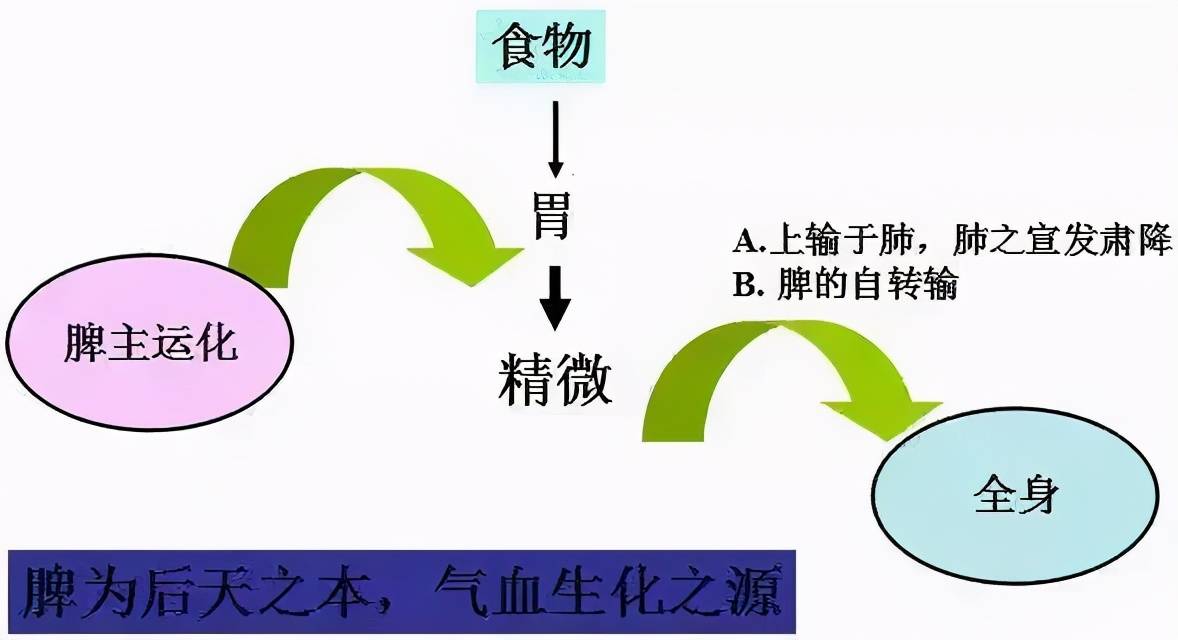 减肥:应该是种轻松愉快的经历 