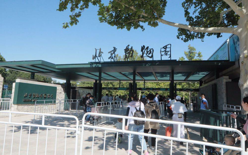 北京动物园启用新大门设12条验票通道古建百年老门将作备用