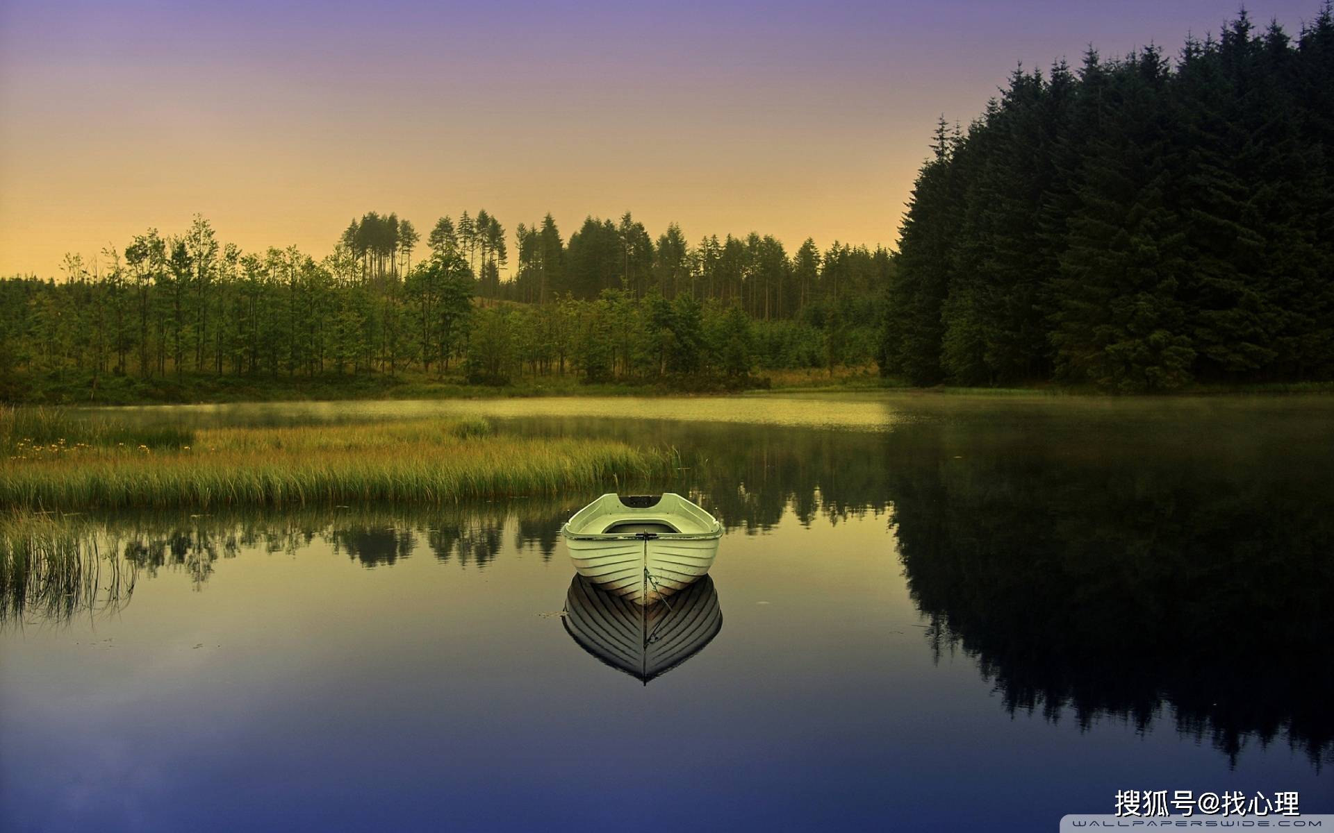 社交恐惧症,与你的原生家庭有关③_手机搜狐网