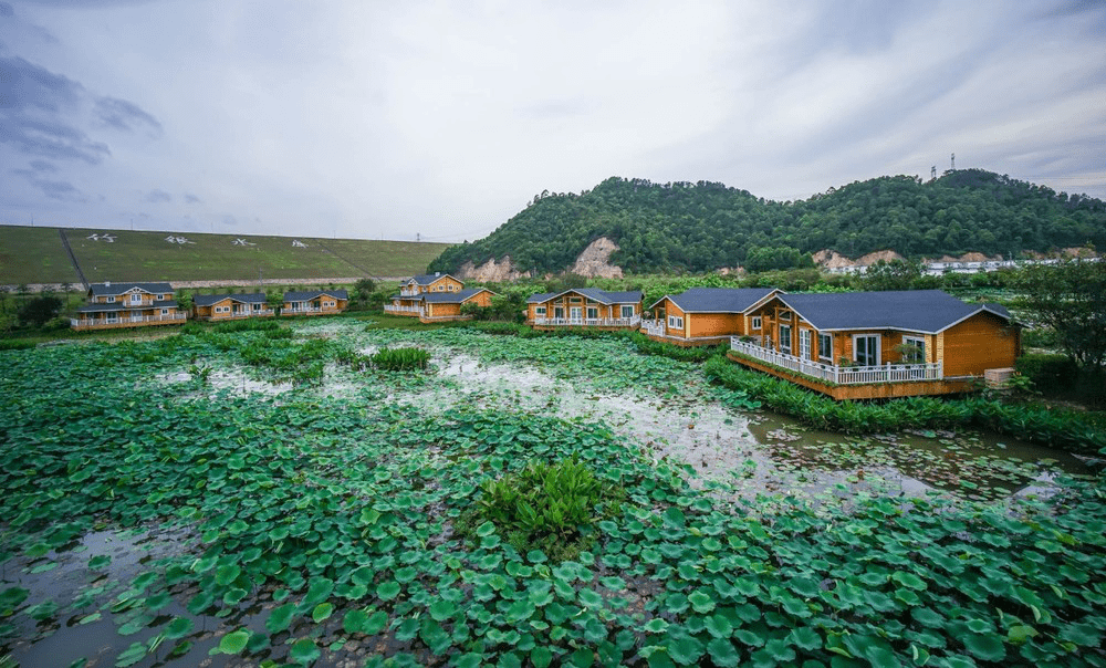 中山港口田园生态农庄图片