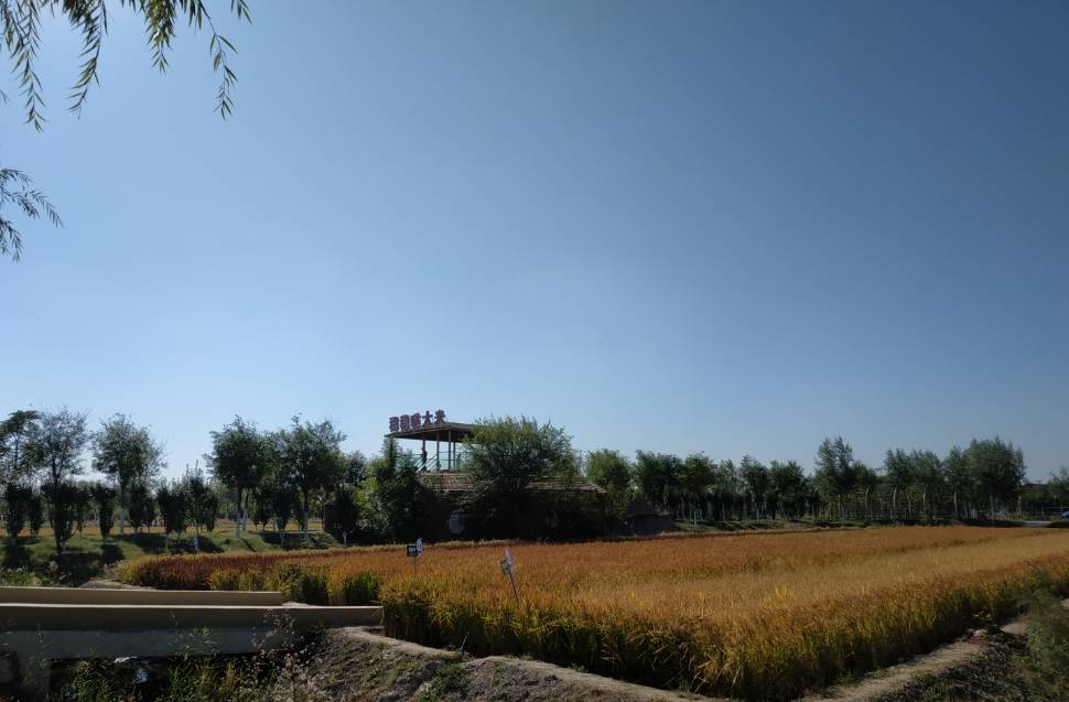 天津适合亲子游的公园农场