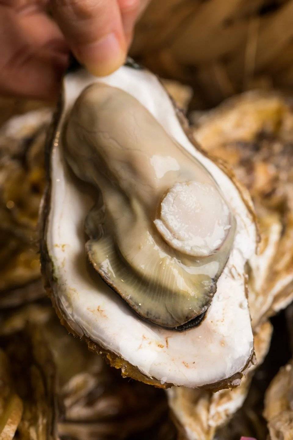 高压锅生蚝比手掌大巨肥巨甜巨多汁男朋友都偷偷来