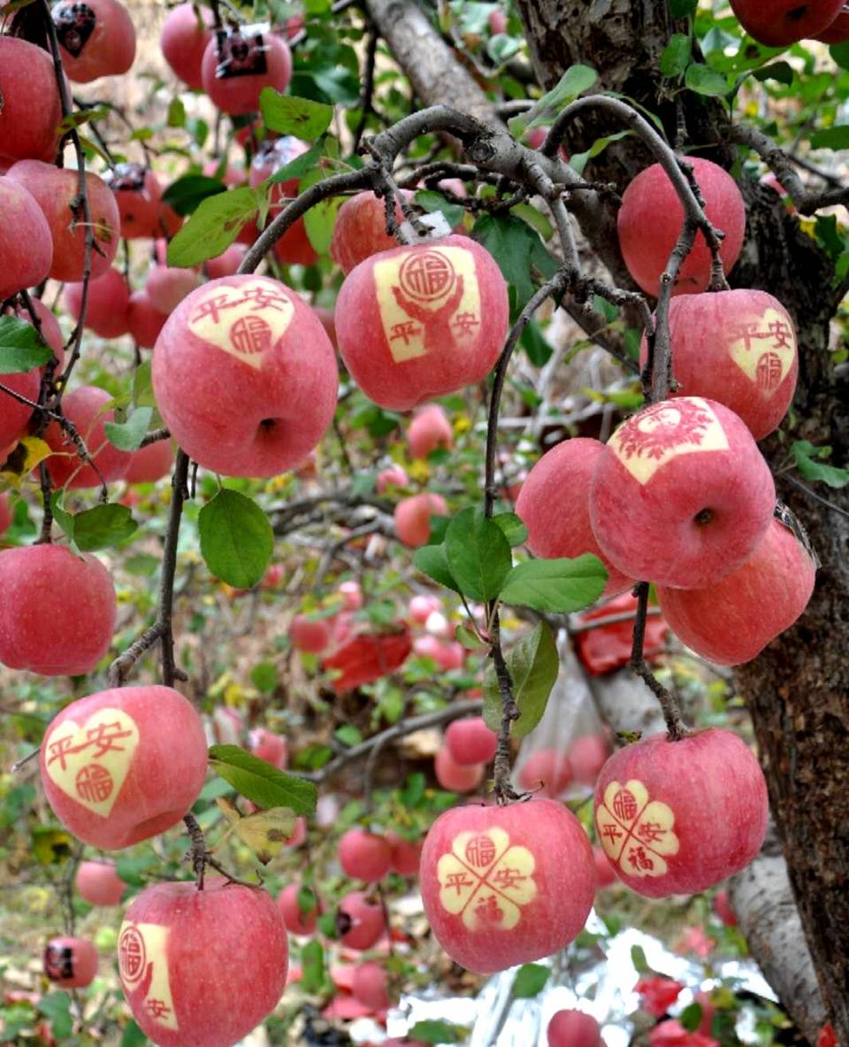 有一种红叫沂源红有一种时尚是为你私人定制专属你的沂源红