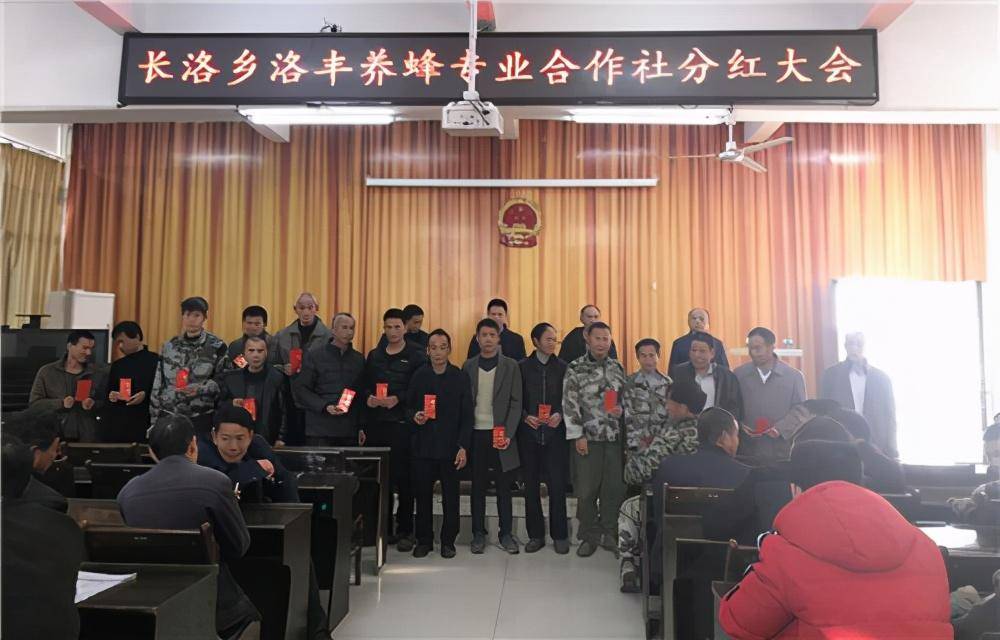 原创赣县长洛乡三要蜜诀助推蜂蜜产业提档升级