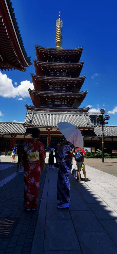 明治神宫浅草寺图片