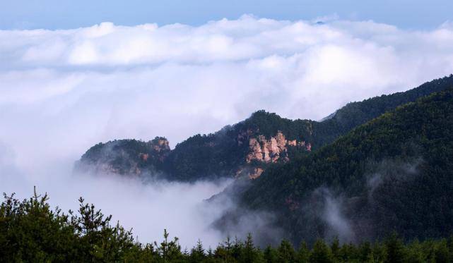 第四種旅遊選擇是黃連木古樹 皂角古樹 垣曲歷山.