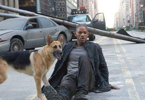 我是传奇比死亡更可怕的是孤独地活着不一样的丧尸片