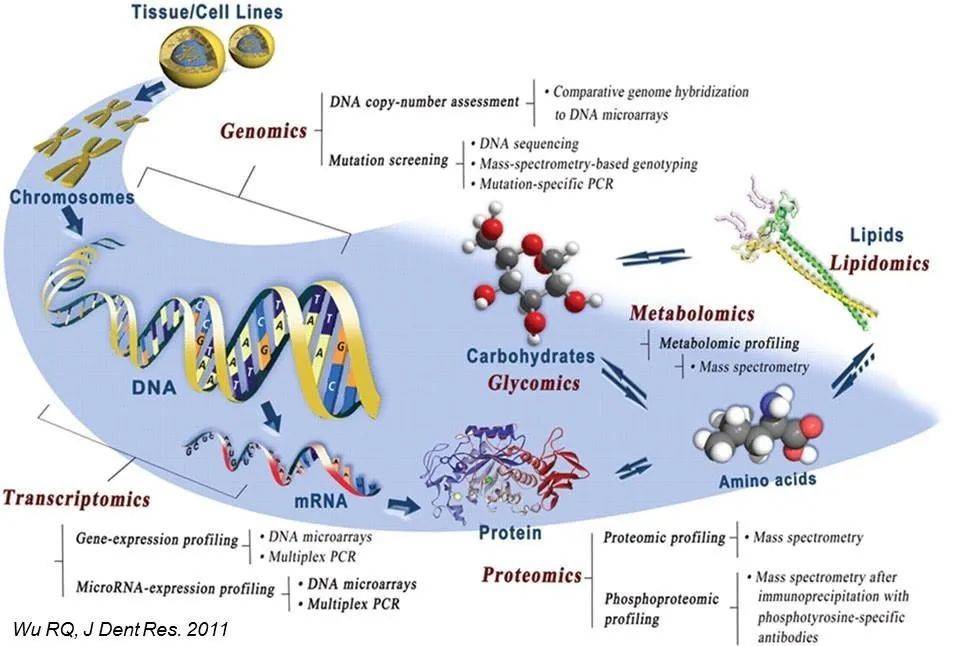 代谢组学后基因组时代新热点