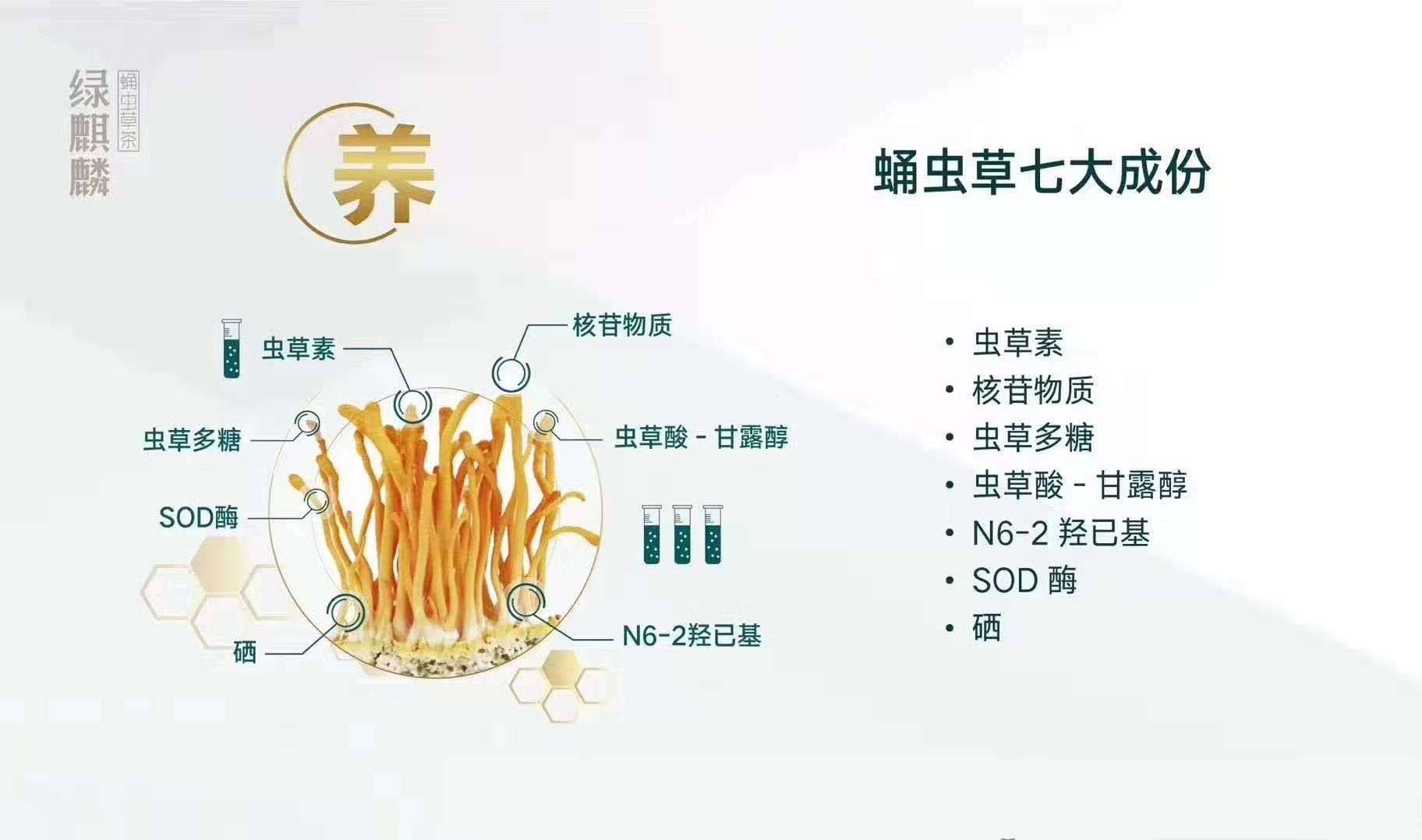 绿麒麟虫草素天水体验馆分享会成功举办图