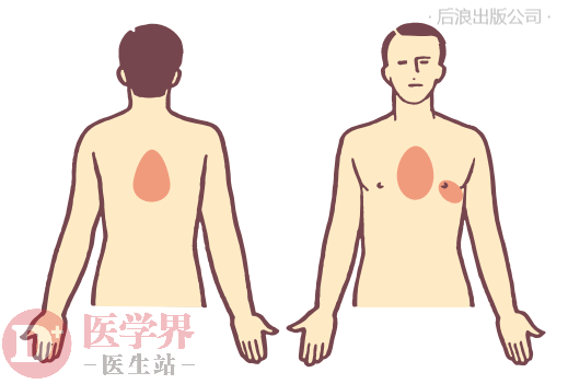 心前区的准确位置图图片