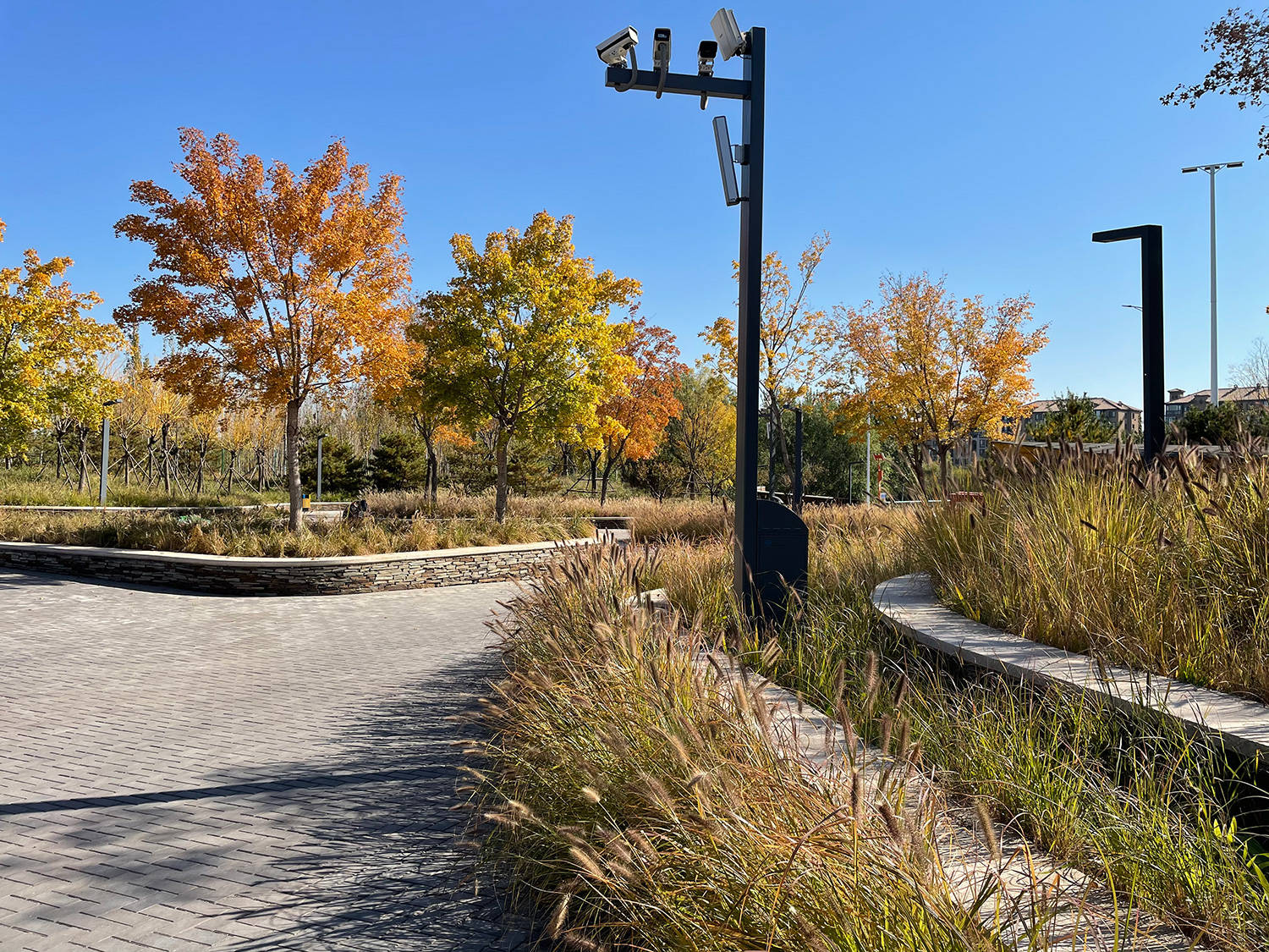 iphone 12拍照效果如何?很不错,但也有局限_苹果