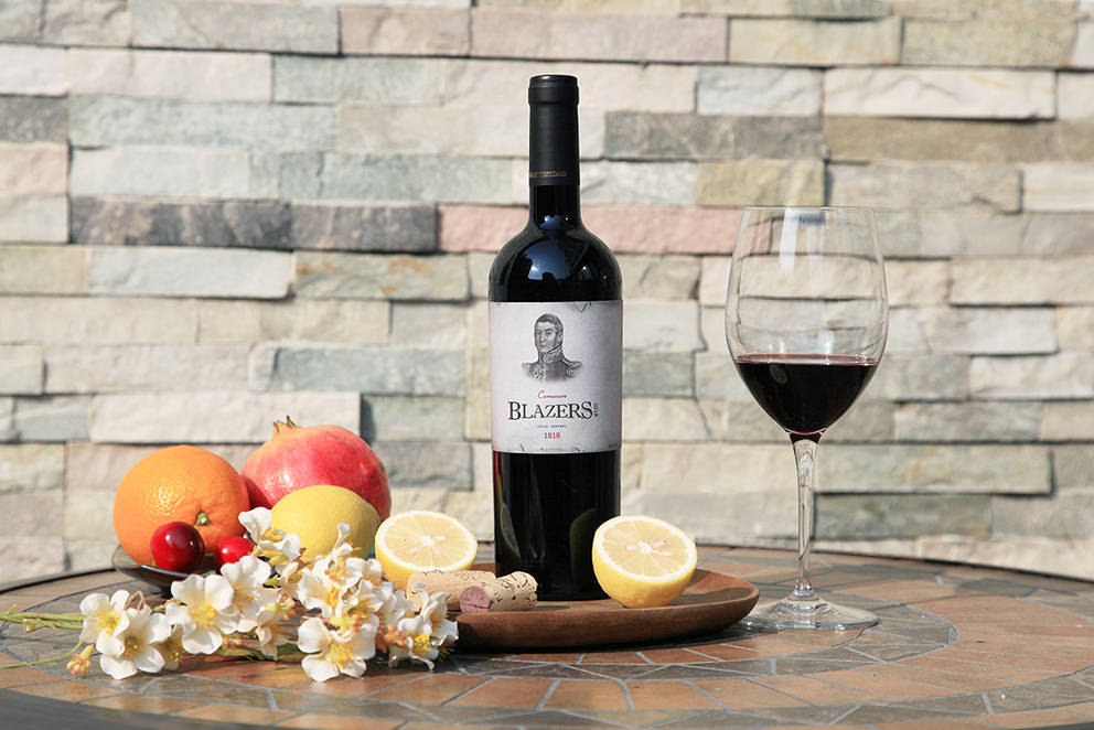 齐韵酒道馆:古老智利名庄的顶级佳酿——开拓者将军