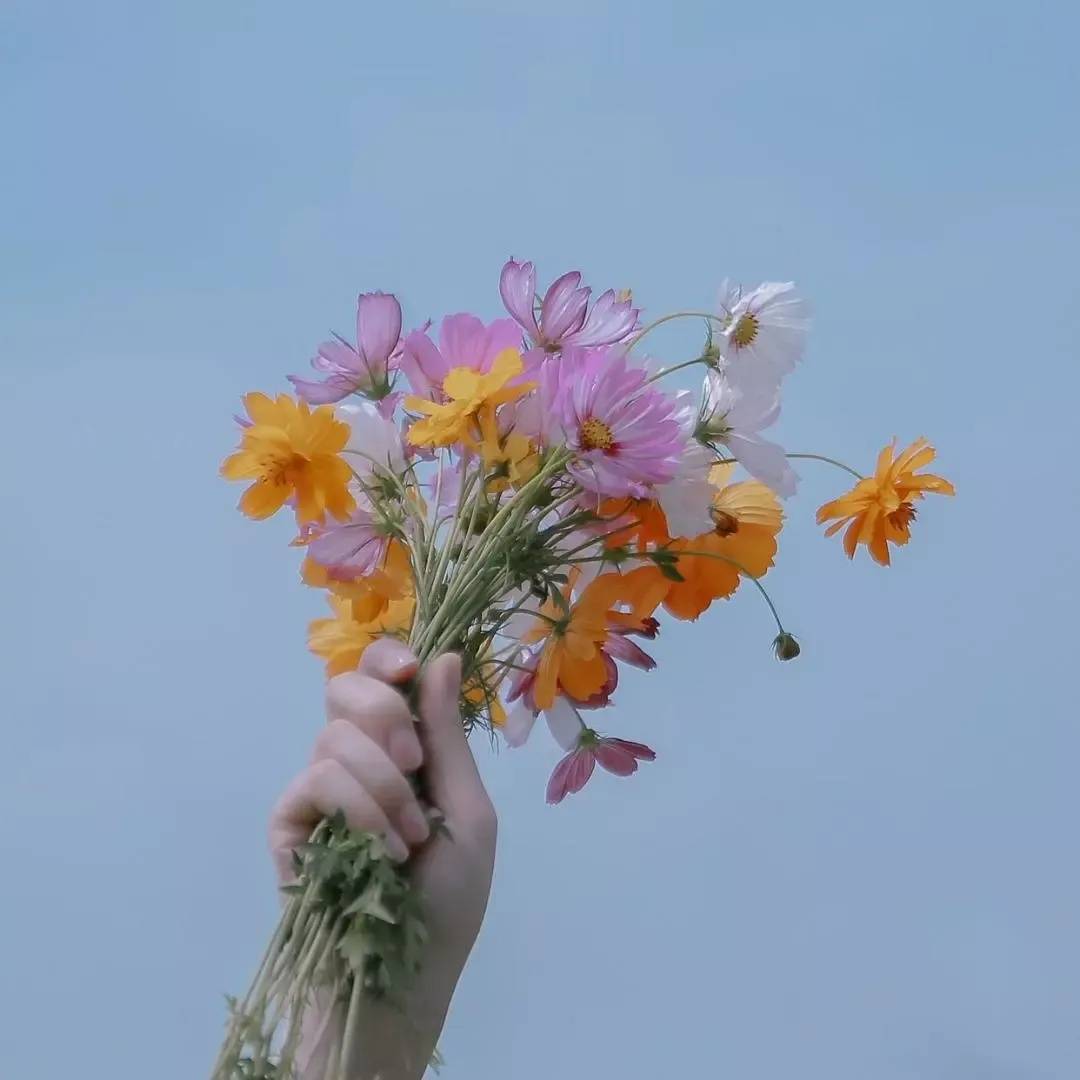 文艺有意境的句子|怪风太温柔,像老朋友,像旧时候