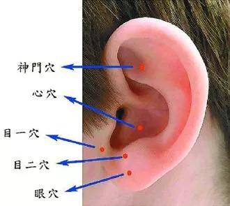 耳根位置图解图片