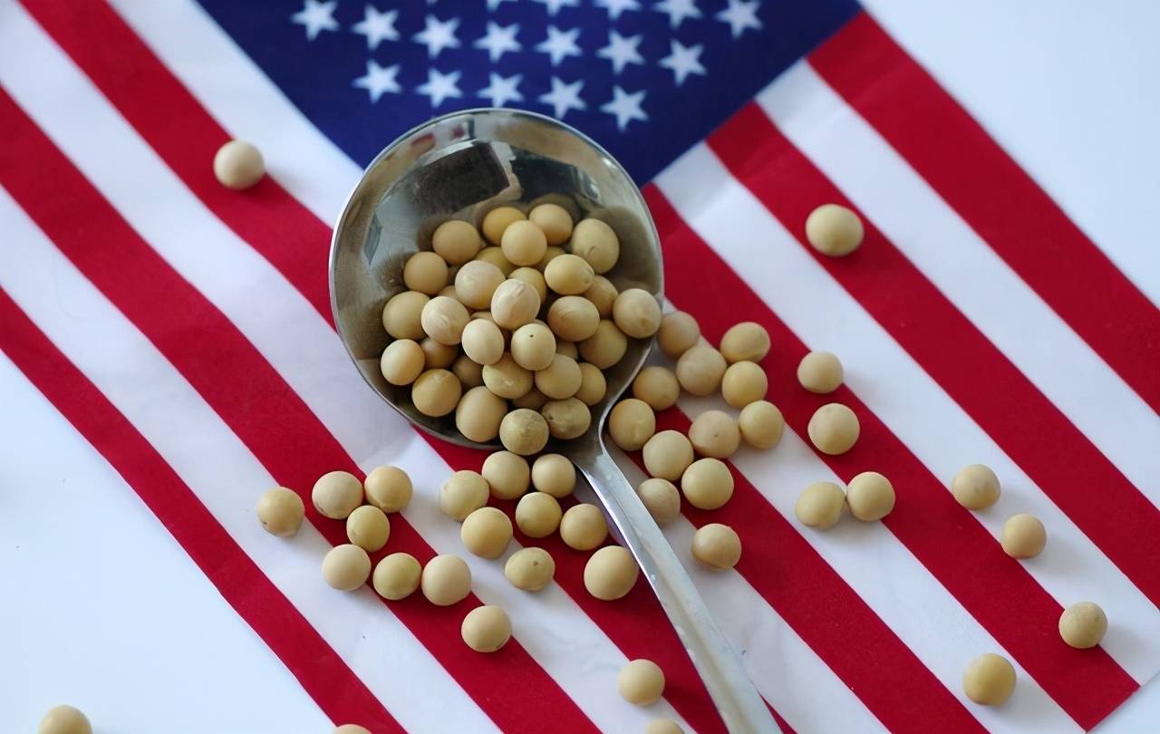 哪怕赔钱美国也要低价卖给我国粮食,为何?美国前国务卿说了实话