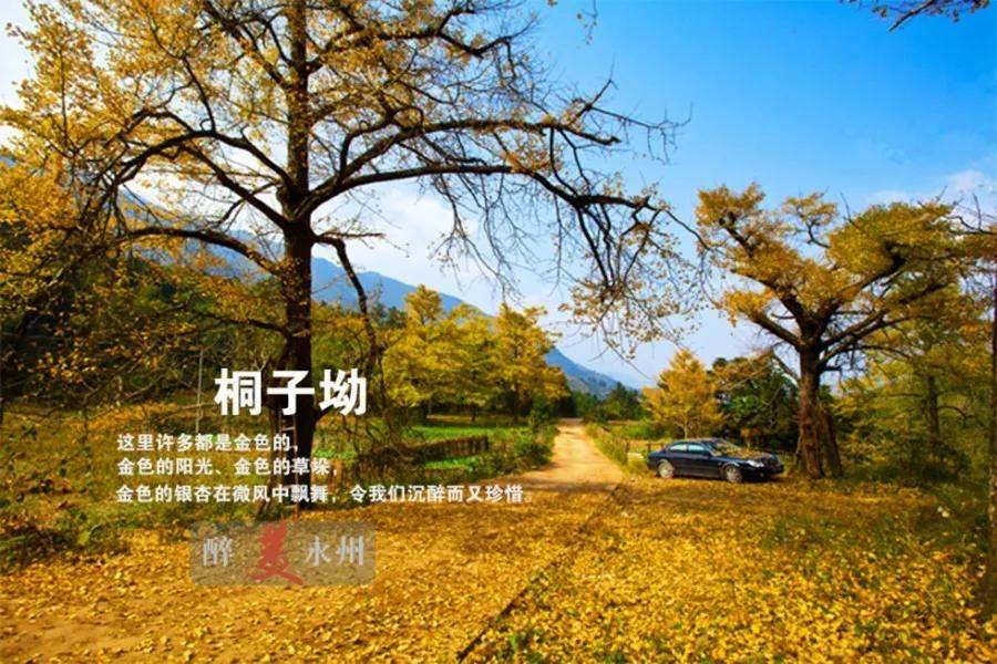 桐子坳村景区游玩季节图片
