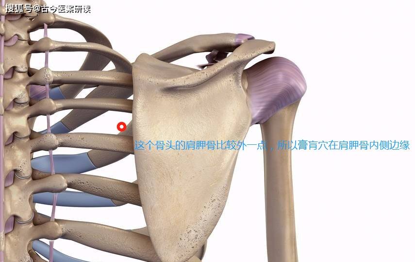 膏肓穴疾病日久因虚损而致诸证甚效益气补虚扶正祛邪