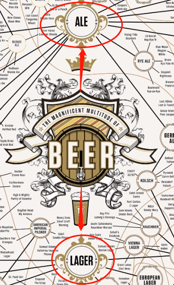 一张图让你从发酵方式看懂啤酒分类和了解精酿啤酒