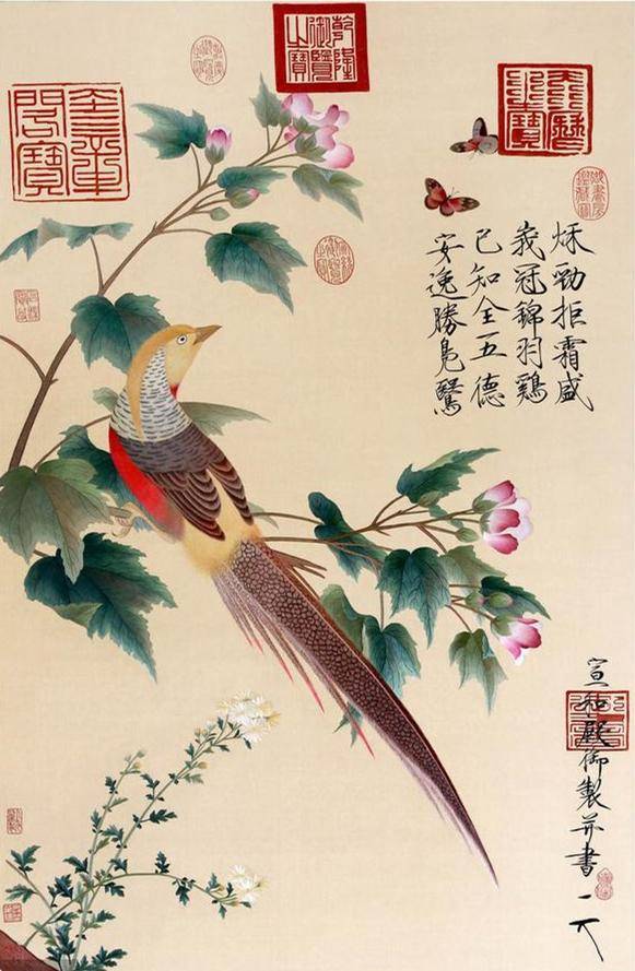 赏析宋徽宗芙蓉锦鸡图