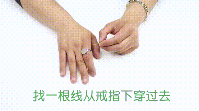 保貓還是保鐲子？小貓咪被3萬的金鐲子卡住腦袋……