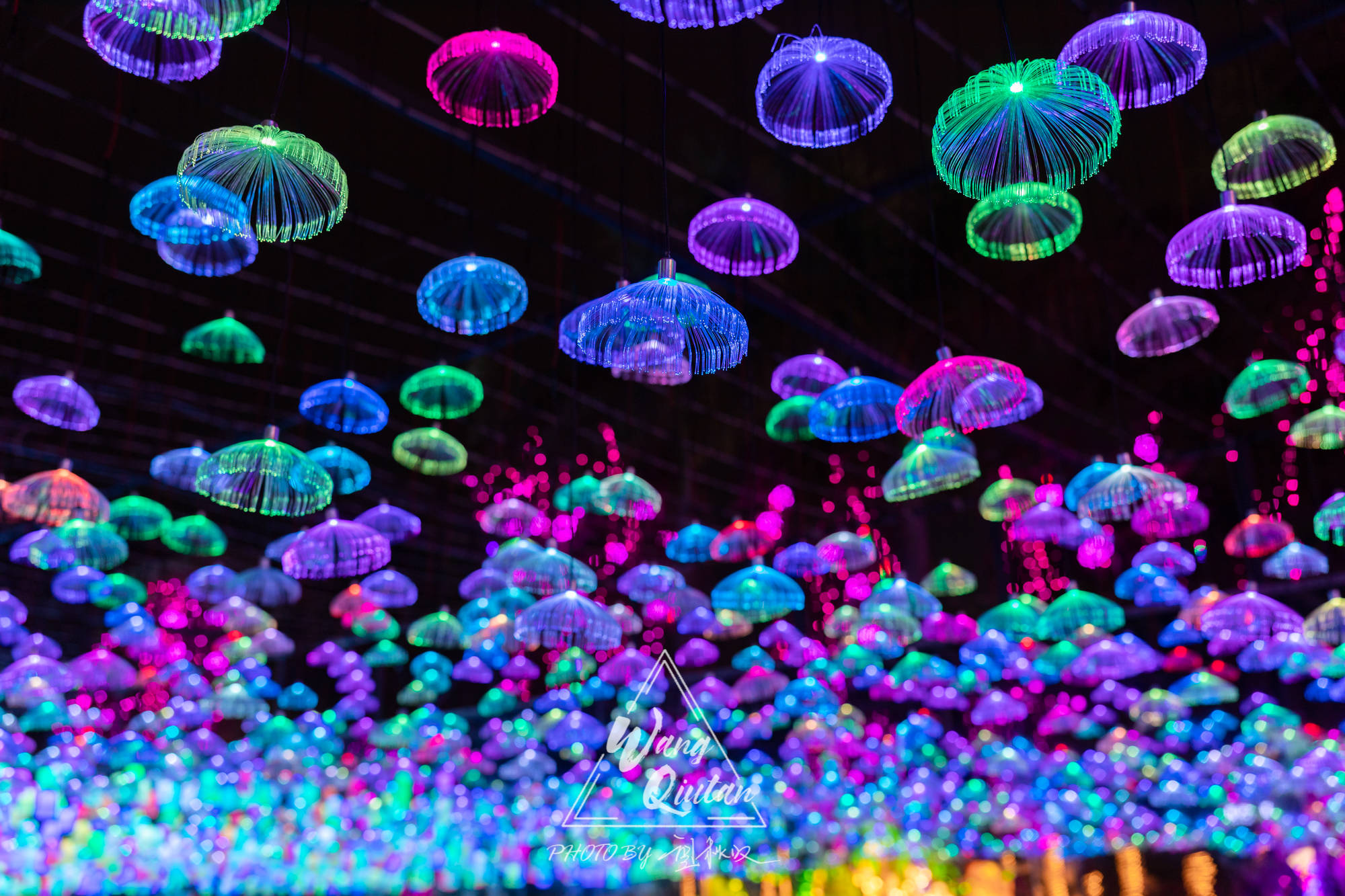 流光溢彩的傣族灯展,感受只属于水灯节的五彩与浪漫