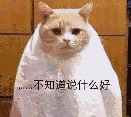 保貓還是保鐲子？小貓咪被3萬的金鐲子卡住腦袋……