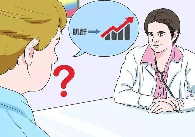 壁虎医生为什么肌酐会偏高