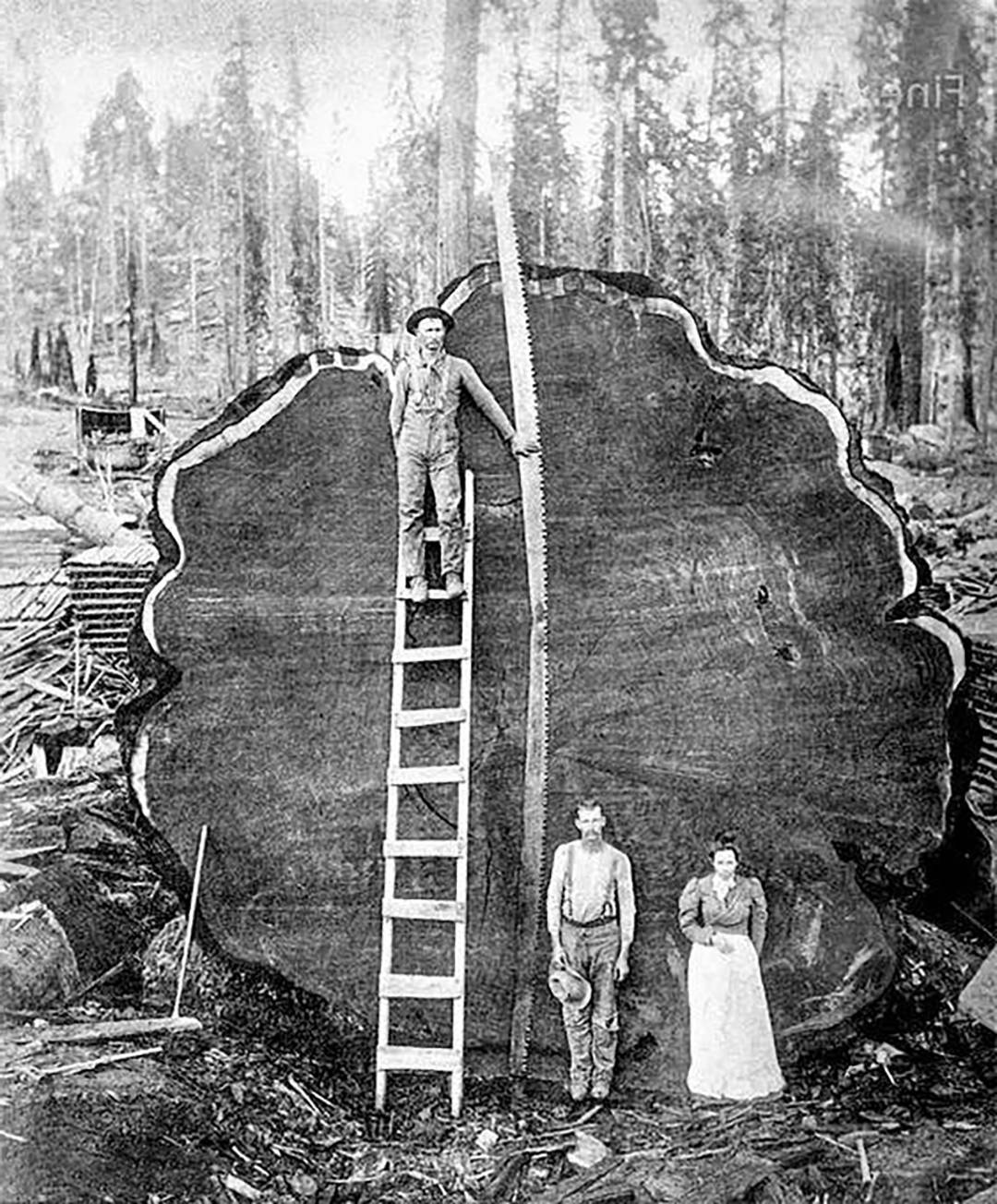 原创这是一组不可思议的真实图片,遇到最后那种情况你敢眨眼么?