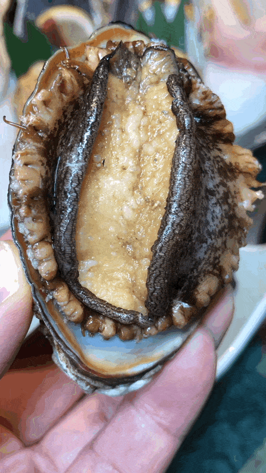 540_960竖版 竖屏gif 动态图 动图