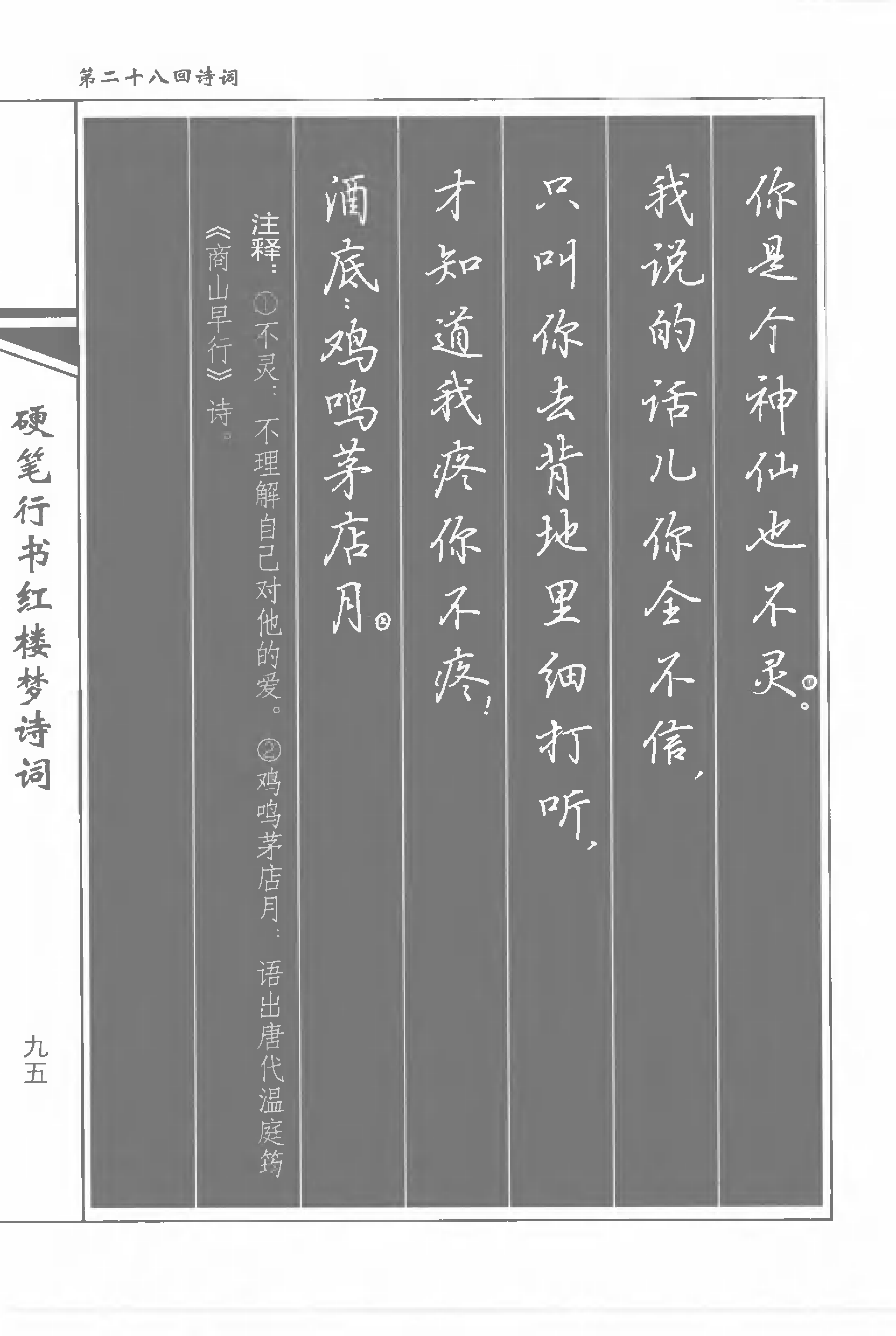 书法家吴玉生《硬笔行书红楼梦诗词》练字好字帖,轻松学书法