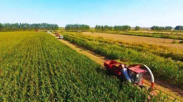 农业产业周报|天猫生鲜,隆平高科,双塔食品,周黑鸭最新动态