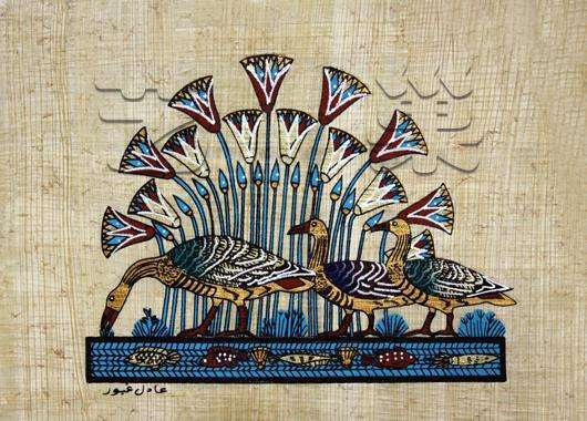 风雅指南丨双11全世界在倾销,我们在做"科普"