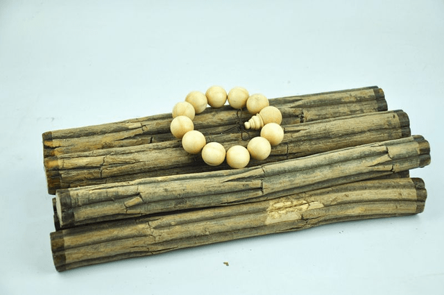 传说中的降龙木天生就有六道棱北方很常见知道是哪种植物吗