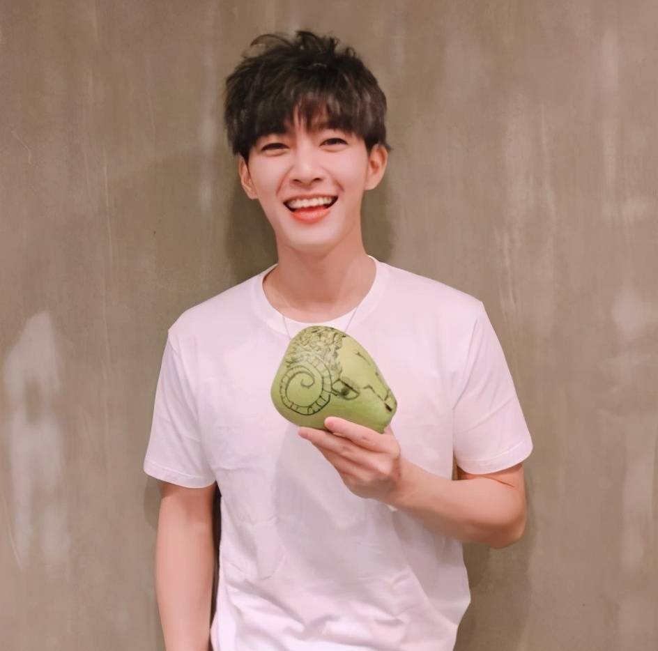 前当红男团成员参加《创4》,或沦为节目炒热度工具人_蔡贵霖