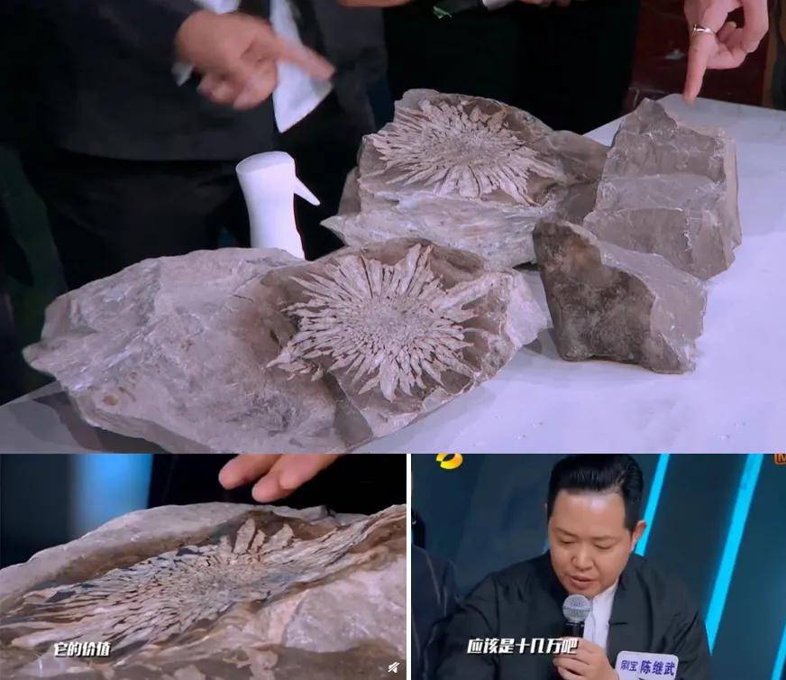 石頭上開出絕世花紋，驚艷世界！