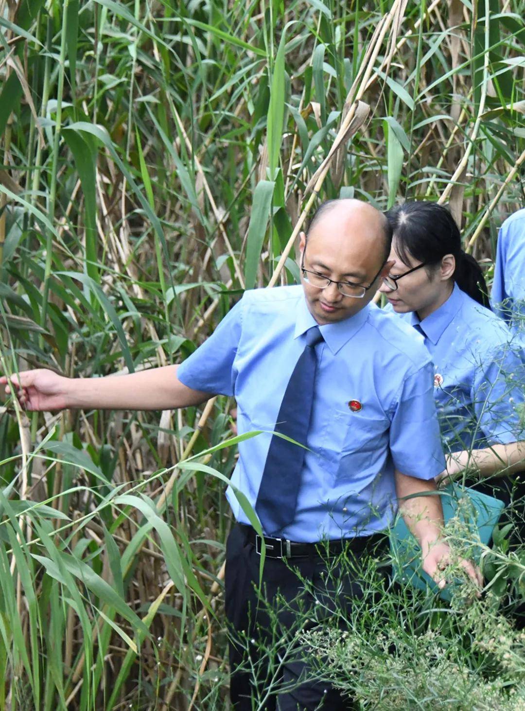 江苏省建湖县检察院检察官在九龙口国家湿地公园巡查