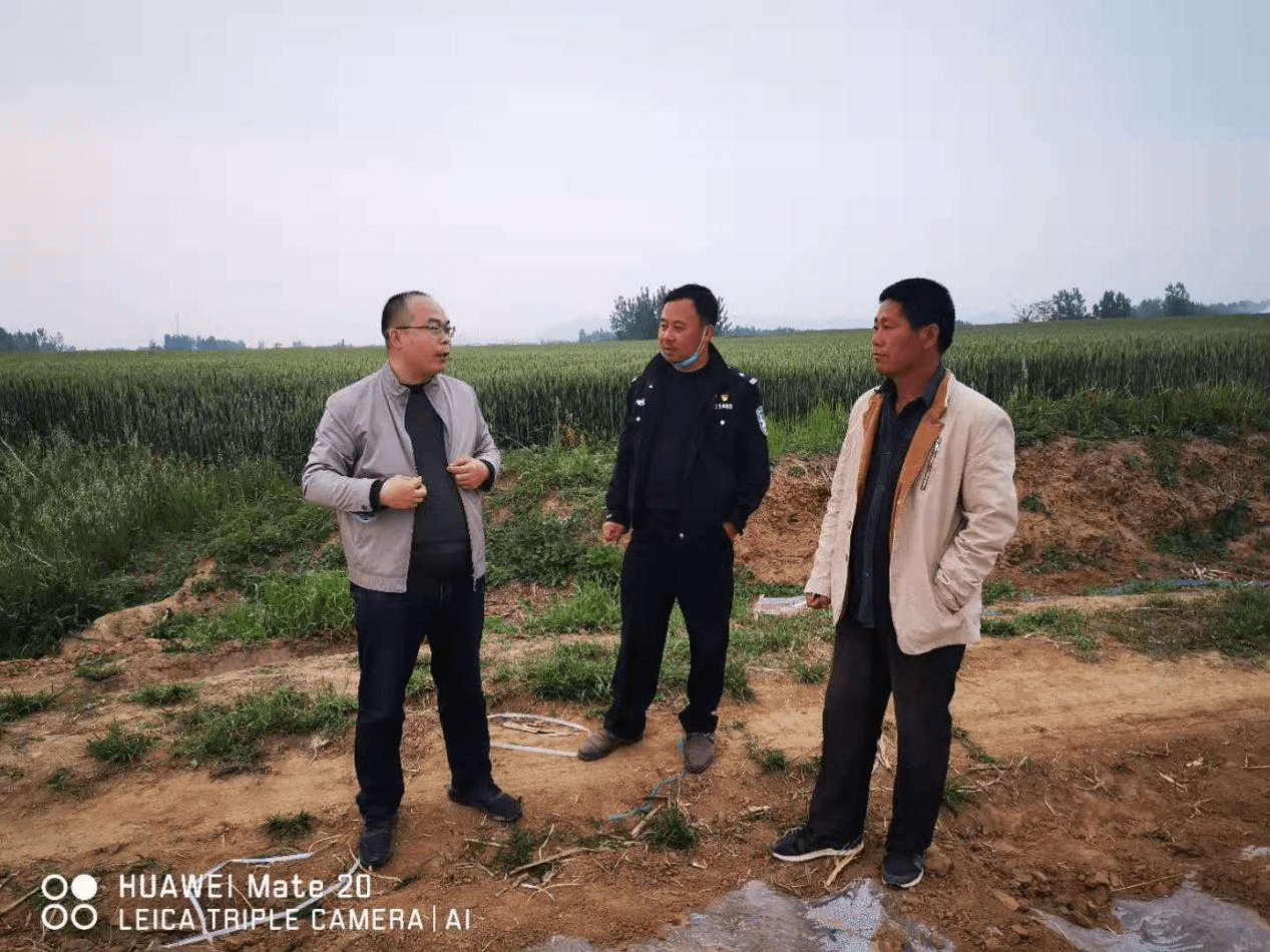 方城县小史店镇:生姜种植铺就致富路