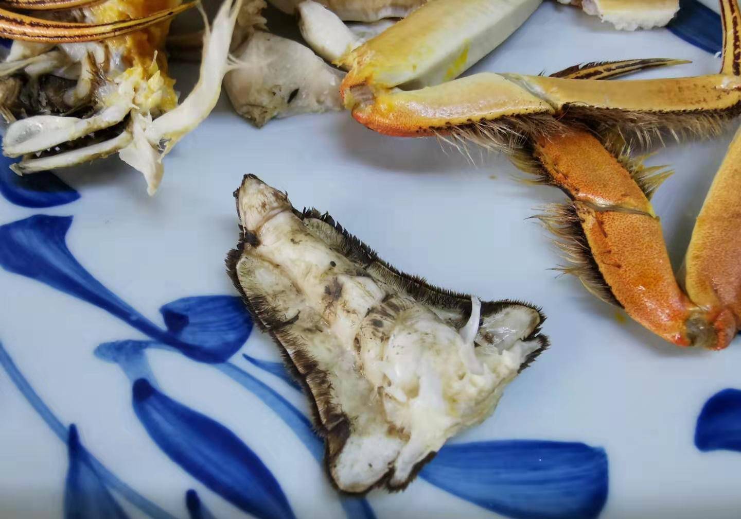 首先是蟹肠,打开螃蟹肚子的小盖子,在蟹尾的部分,这一部分毒性大而寒