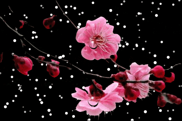 你若盛开清风自来原创