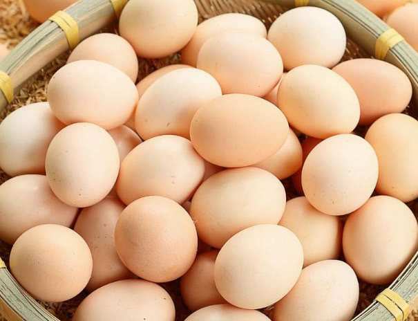 红皮鸡蛋和白皮鸡蛋有什么区别?哪一个更好?看完你就明白了