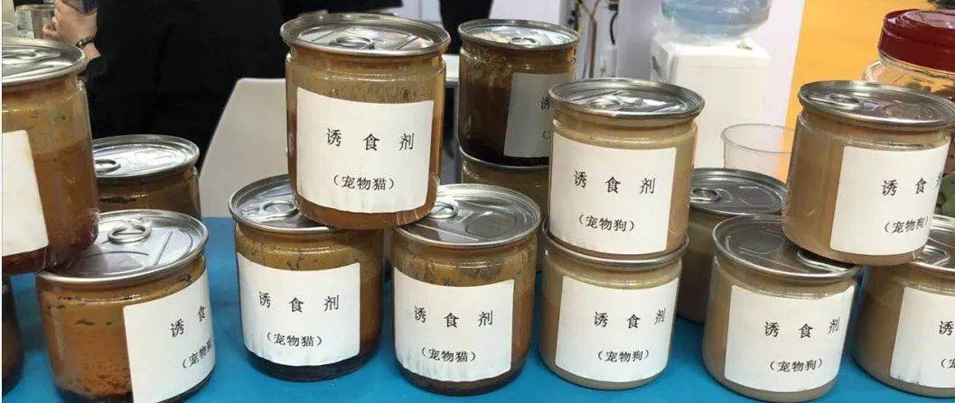 【维诺拉科普】所有的猫粮都有诱食剂?猫都不能吃了?