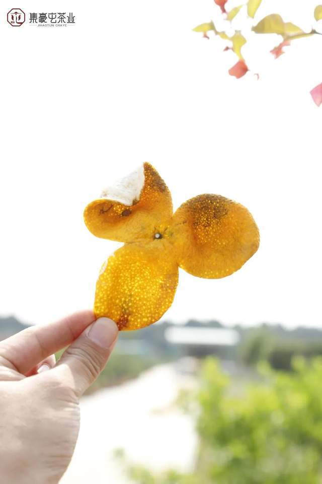 一般瘦脸针需要打几次_瘦脸针打一次就够了吗_瘦脸针打一次需要多长时间